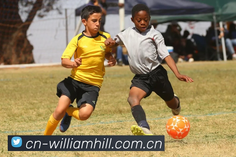 威廉希尔APP 封面图